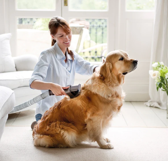 Discover the Perfect Vacuum for Pet Hair Solutions