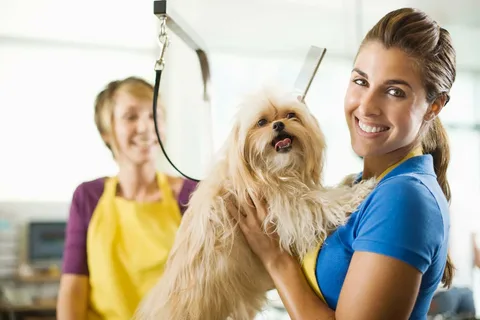 Fashion Forward Fidos: Dog Grooming Magic