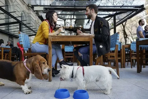 Dine with Your Pup: Top Pet-Friendly Restaurants Revealed